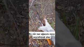 nar budama kəşfet kəşfetazərbaycan kəşfetədüş kəşfettt kəsfet [upl. by Elauqsap]