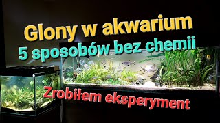 Glony w akwarium 5 sposobów bez chemii [upl. by Ellersick]