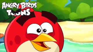 Angry Birds Toons Season 2  Ep 1 to 5 [upl. by Cleodal]