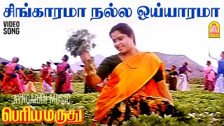 Sinagarama Nalla  Video Song சிங்காரமா நல்ல Periya Marudhu  Vijayakanth  Ranjitha  Ilaiyaraaja [upl. by Oran]