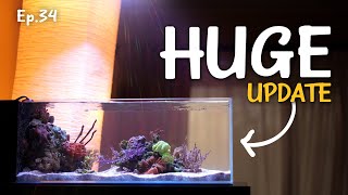 Preventing catastrophic failure  Ep34 Nano Reef Competition [upl. by Tam]