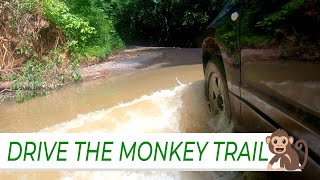 DRIVE THE MONKEY TRAIL 🚗 Winding Costa Rica Road  River Crossing costarica travelvlog vacation [upl. by Aimik8]