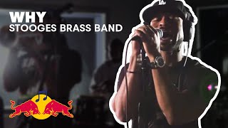 Stooges Brass Band  Why  Live  Red Bull Studios [upl. by Faxan]