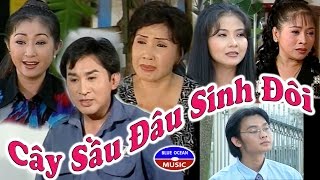 Cai Luong Cay Sau Dau Sinh Doi [upl. by Ihp]