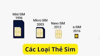 Các Loại Thẻ Sim Và Cách Phân Biệt Sim ThườngMicro SimNano SimEsim [upl. by Koss]