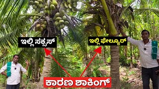 Best farming Ideas in Kannada  Natural farming in Karnataka  Agriculture methods  chandanavana [upl. by Sheilah434]