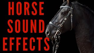 HORSE SOUND EFFECTS  Neighing Horses [upl. by Esiuol45]