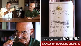 La degustazione del Bardolino Chiaretto di Cavalchina [upl. by Annia727]