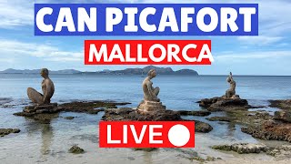 🔴 Live Can Picafort Mallorca Majorca  1 May 2022 [upl. by Aridaj287]