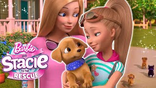 Barbie amp Stacie meet NEW PUPPIES  Netflix Movie Clip  Barbie amp Stacie To The Rescue [upl. by Yendahc]