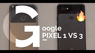 pixel 1 XL Vs Pixel 3XL Camera Comparison🔥 [upl. by Mercy895]