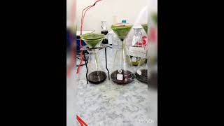 Extraction of plant material after maceration solutionpharmacy pakistan lab [upl. by Peckham317]