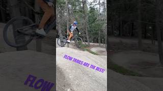 This music is the vibes when riding a sweet flow trail mtblife flowtrail mtbjumps vibes nz [upl. by Ibob]