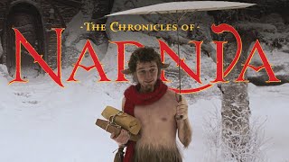 The Chronicles of Narnia 🦁 Mr Tumnus House Cave  ASMR Ambience  Cozy Fireplace Muffled Wind Snow [upl. by Ayalat]