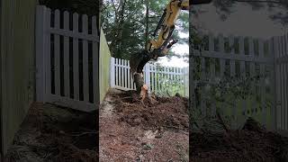 This tree needed to go excavation treeremoval treeservice [upl. by Yreme964]