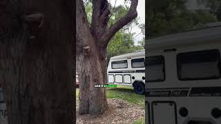 What is the oldest national park in Australia CampsAustraliaWide campingaustralia camping [upl. by Azitram]