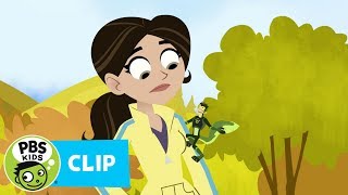 WILD KRATTS  Tracks  PBS KIDS [upl. by Ong]