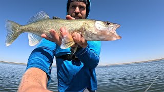 Potholes Reservoir Late Summer Walleye Fishing [upl. by Roddie]