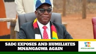 Mnangagwas SADC Loyalists declare Chapo as President Elect SADC is ending now [upl. by Lammond836]