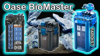 Oase Biomaster Thermo Unboxing and Setup The Best Aquarium Filter [upl. by Suivatnom]