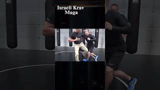 Israeli Krav Maga targets the bodys most vulnerable and painful points [upl. by Allisan]