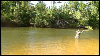 Lockhart River Bush Food [upl. by Akenna]