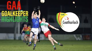 Goalkeeper Highlights 2023  Carlow GAA [upl. by Sitoiyanap]