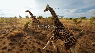 UGANDA from Above  African Wildlife with an FPV drone [upl. by Ladew]