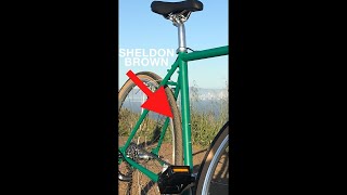 How to Effectively Lock Your Bike  Sheldon Brown Method [upl. by Ahseeyt415]