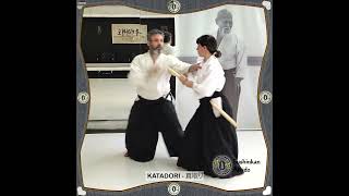 AIKIDO  UKEMI WAZA受身技 Level 守 basicquotAttacksquot symbolic representation  13 [upl. by Ursi]