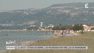 SUIVEZ LE GUIDE  Le Jaï et létang de Berre les richesses naturelles de Marignane [upl. by Cowden]