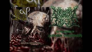 Defenestrated Treachery  Laceration Commandments Slamming Brutal Death Metal [upl. by Ahsirhcal]