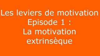 Leviers de motivation 1  La motivation extrinsèque [upl. by Maletta706]