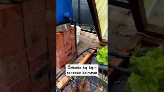 Mini sera ile kışın sebze yetiştirin organic garden farming [upl. by Ivette418]