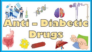 AntiDiabetic Medications  Types Mechanism Of Action Indications Side Effects Contraindications [upl. by Mendelsohn]