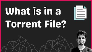 Understanding the Torrent File Format and Bencoding [upl. by Biddie483]