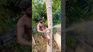 Tree cutting channel top tree cutting Tamilnadu [upl. by Marina]