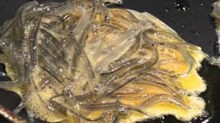 New Zealand Whitebait Catching and cooking whitebait [upl. by Ewall]