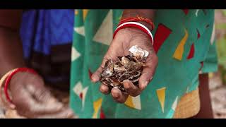 Darkness behind Glitter The truth behind the Mica mines and child labour in India [upl. by Web869]