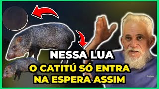 🔴 O CATITÚ SÓ ENTRA ASSIM NA ESPERA [upl. by Tam]