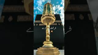 Chhod fikra🕋🤲 Duniya Ki chal Madine🕋 Chalte Hain💕 islamicvideo shortvideo forupage [upl. by Lash]