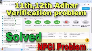 Scholarship Aadhaar Details Not Match  Scholarship Aadhar Verification Problem 2024 [upl. by Eivi]