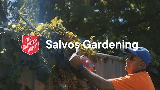 Salvo Story Salvos Gardening in Canberra [upl. by Notsae590]