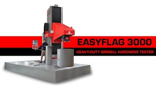 Hardness Tester  EASYFLAG 3000  Selflearning [upl. by Morgun]