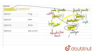 Polyspermy is common in [upl. by Gnart]