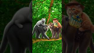 Cute kitten and monkey fighting over a birthday cake cutecat catlover catvideos trendingshorts [upl. by Ecinuahs]