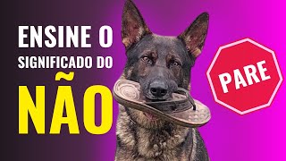 Como ENSINAR o cachorro ENTENDER a palavra quotNÃOquot [upl. by Ebaj]