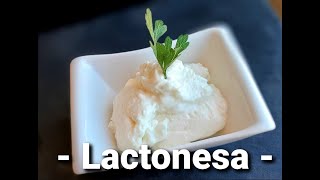 LACTONESA con THERMOMIX® MAYONESA sin huevo [upl. by Neevan]