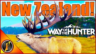 FIRST HUNT on New Zealand  Chasing Monster Red Deer amp More in Way of the Hunter [upl. by Farlay]