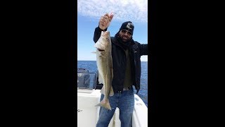 slow pitch fishing in cape cod for Haddock 45 keepers in 2 hours [upl. by Attaynek]